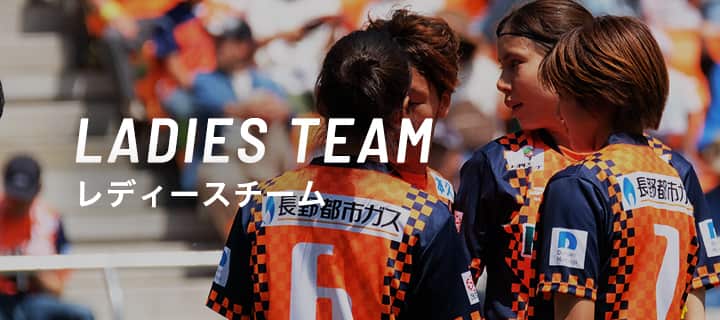 レディースチーム